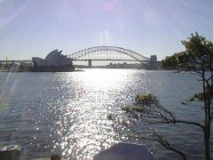 Harbor Bridge